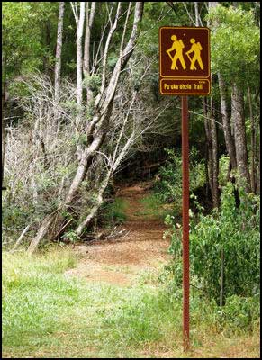 Pu‘u Ka ‘Ohelo - Berry Flat Trail