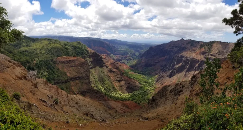 Waimea Canyon View